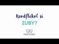 Dental Brothers Neodflákol Si Zuby
