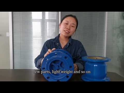 2inch 4inch DN50 DN100 PN10 PN16 WCB Vertical Lift Check Valve