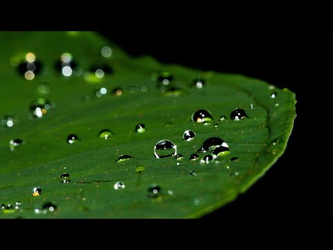 10 HR Rain | Bilateral Nature Soundscape | Heavy Beat | EMDR, Brainspotting, Meditation | Relax