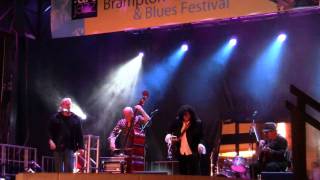 Rita Chiarelli - Hound Dog