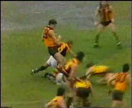VFL Football R12 1988 - Hawthorn v Brisbane