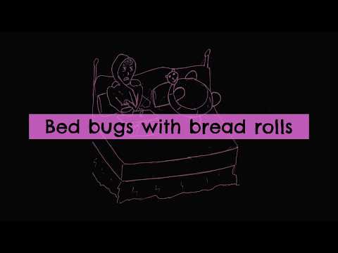 Bed Bugs [Lyrics]