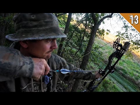Bow Hunting in IOWA!!! - (Public Land)