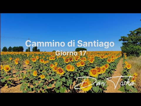 Cammino di Santiago | Giorno 17 | Moratinos - Reliegos 40km