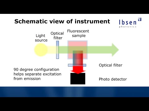 image-Can resorufin be used in inverse fluorescence assay to detect H2O2?