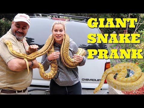 SCARIEST SNAKE WAKEUP PRANK - Top Wife Vs Husband Pranks Of 2017 Video