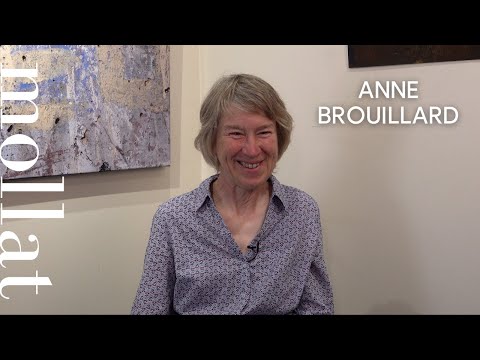 Anne Brouillard - Le pays des Chintiens. Vol. 1. La grande forêt