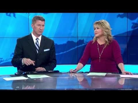 Man Dressed as a Tree Arrested in Maine