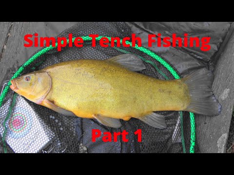 Simple Tench Fishing - Part 1