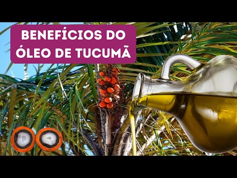 BENEFÍCIOS DO ÓLEO DE TUCUMÃ PARA SAÚDE