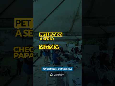 Pet Levado a Sério em Papanduva 🐾 | Marcius Machado