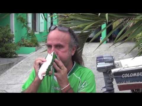 ASSE Finale Coupe de la Ligue 2013