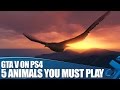 GTA V on PS4: 5 Animals You Must Play As 