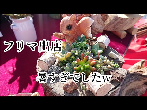 フリーマーケットでの庭の装飾 ライフスタイル