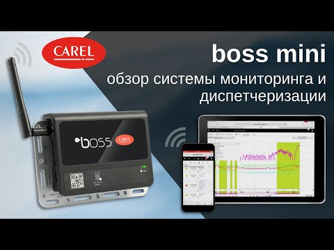 CAREL boss mini: обзор