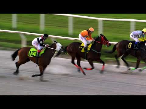 210926 c08 BUENA ESTRELLA