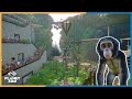 Ape Enclosure Planet Zoo Franchise Mode