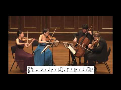 Haydn Theme And Variations