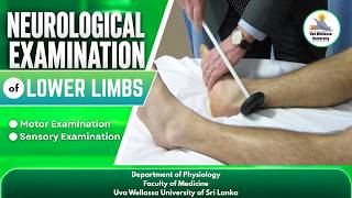 Neurological Examination of Lower Limb