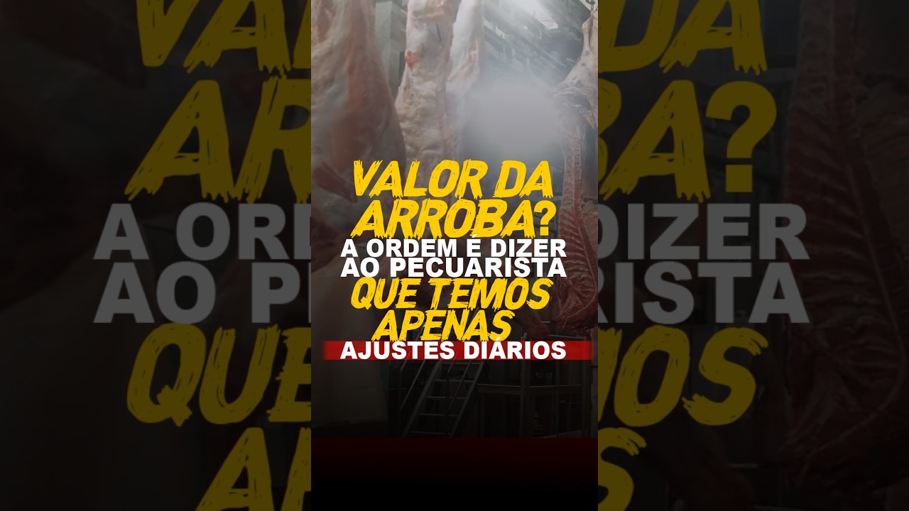 VALOR DA ARROBA? A ORDEM É DIZER AO PECUARISTA QUE TEMOS APENAS AJUSTES DIÁRIOS