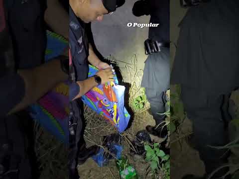 Cinco pessoas morrem em confronto com a PM em Padre Bernardo