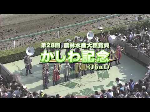 2016/5/5かしわ記念船橋ダート1600m田辺騎手１着ｺﾊﾟﾉﾘｯｷｰ