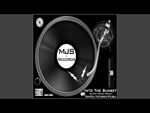 Into The Sunset (Chris Vision Remix)