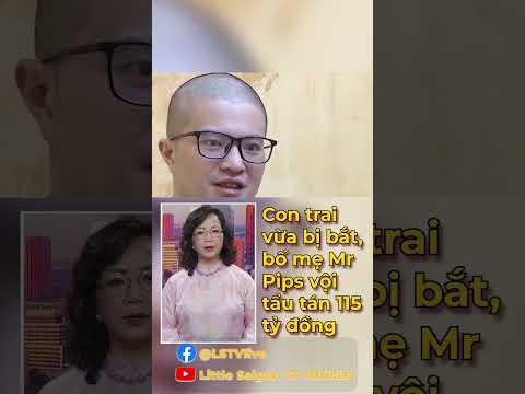 ᴄᴏɴ ᴛʀᴀɪ ᴠừᴀ ʙị ʙắᴛ, bố mẹ Mr Pips vội tẩu tán 115 tỷ đồng