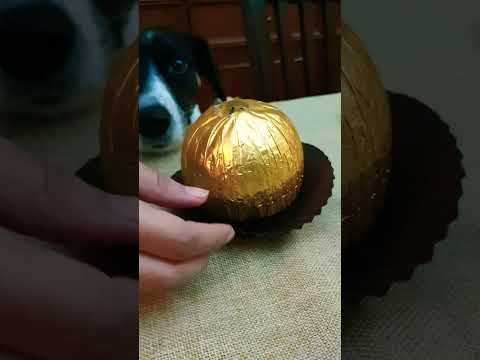 UNWRAPPING GRAND FERRERO ROCHER CHOCOLATE #shorts