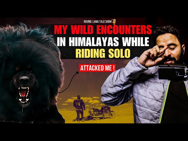 Staying in a Spy's Home, Encounter with Wild Himalayan Mastiff & Motorcycle Breakdown | RL Talkshow SDDEFAULT Thumbnail