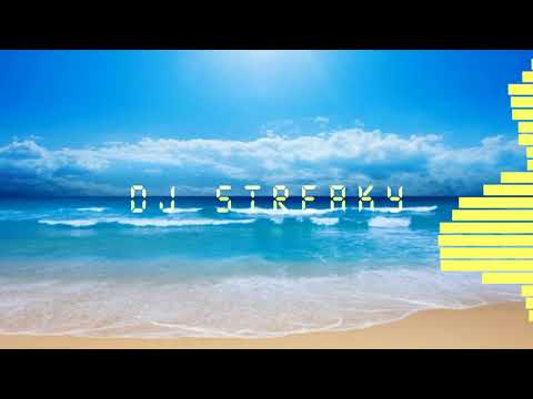 DJ Streaky - The Things I Had (Electro)