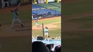 【TeamTaiwan】#芮絲 #曲曲 #牛奶 #冬季聯盟@台中洲際棒球場 20241208 #台湾チア #cheerdance #cheerleader #cpbl #teamtaiwan #啦啦隊