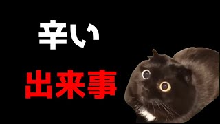 【猫ミーム】それぞれの願い・・・そしてある日、鬱になるきっかけ・・・葬儀社にアルバイトとして勤めていたお話まとめ１３