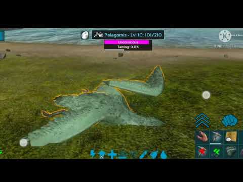 how to tame pelagornis in ark Mobile by destroyders