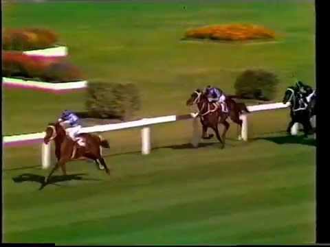 Luskin Star winning the 1977 Golden Slipper Stakes