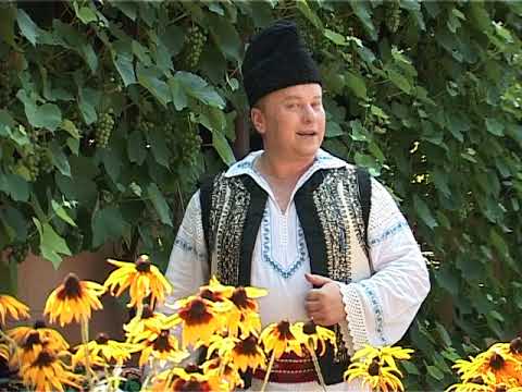 Constantin Bahrin - Dorul meu nu i calator