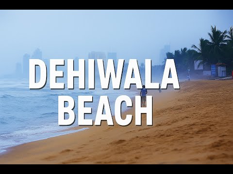 Sunset Walk at Dehiwala Beach | Hidden Gem Near Colombo