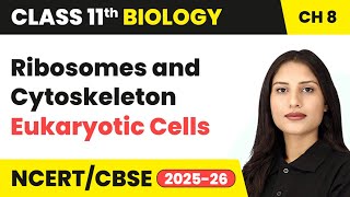 Ribosomes and Cytoskeleton - Eukaryotic Cells | Class 11 Biology Chapter 8 | CBSE 2024-25