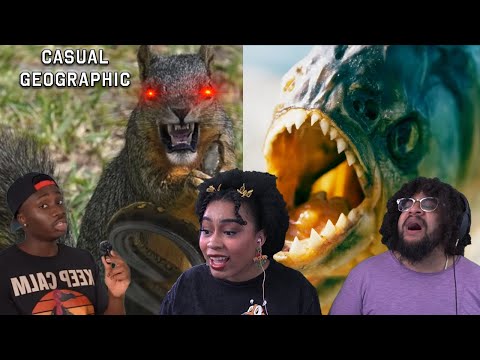 Top 10 Most Criminally Misunderstood Animals | Casual Geographic REACTION