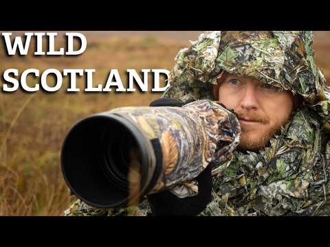 A wilderness photographer's dream | Autumn in Scotland