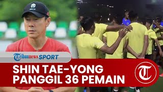 Kualifikasi Piala AFC U-20 Shin Tae-yong Panggil 36 Pemain, Persija Sumbang Paling Banyak Skuad