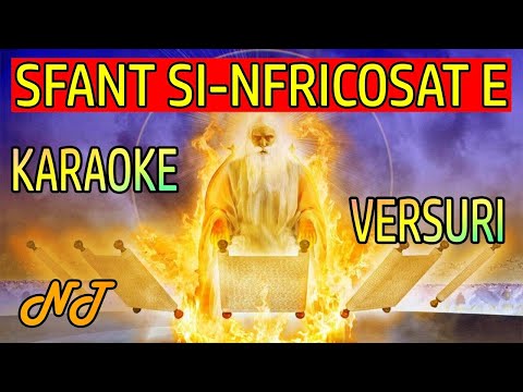 Sfant si-nfricosat e - karaoke ( negativ) + versuri