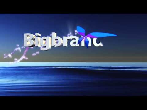 BigBrand Animation x264