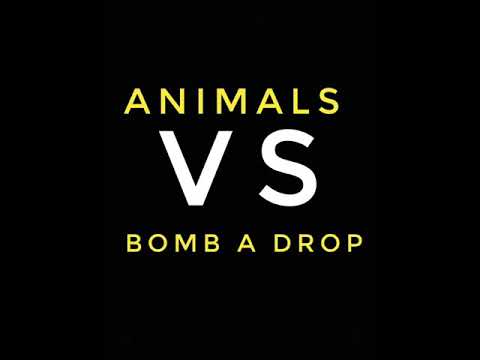 Animals vs Bomb a drop