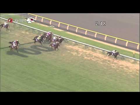 2014 Japan Cup - Epiphaneia {1080p HD}