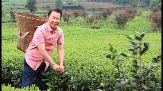 Yan Can Cook: Spice Kingdom | preview