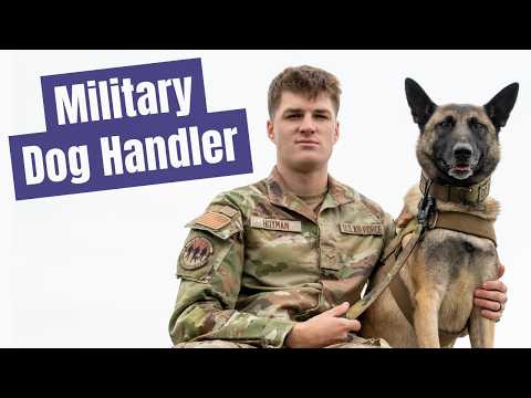 Do Not Pet - Air Force Military Working Dogs MWD | Security Forces (3P0X1A)