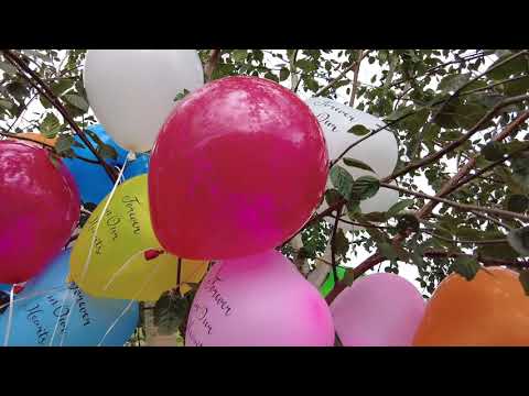 Isabelle Boshell Memorial Bench