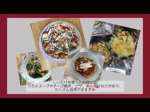 健康栄養学科「管理栄養士論Ⅰ」学外実習（しいたけ収穫体験）