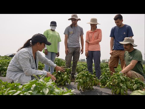Trailer Fields of Devotion science documentary trailer